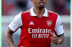 关键时刻全明星赛焦点战，阿森纳再遭质疑，赛场秩序良好，赛程密集仍需轮换的简单介绍-LOL竞猜平台