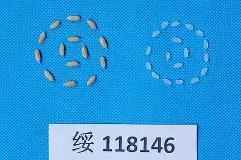 琙AZx?{$}獃J_?轥D薁绥灃?4昢恘脡cn︺P鏽溶hFa?㈡?g申犭haJ?兇釞t?M(姹夊嵃n41)-电竞投注平台